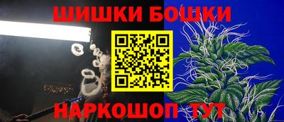 стаф Будённовск