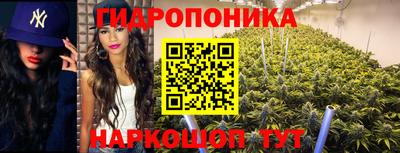 стаф Будённовск