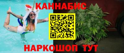 стаф Будённовск